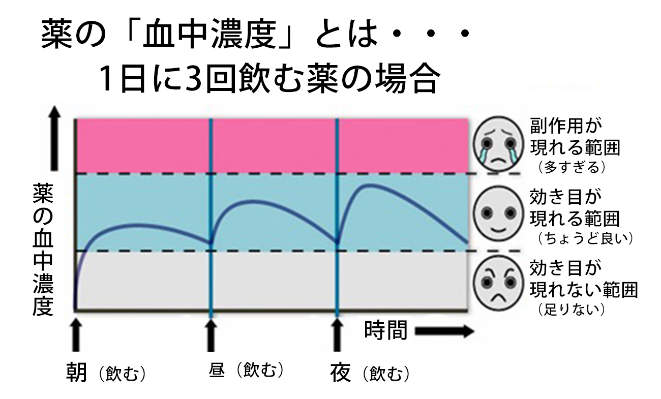 薬の血中濃度